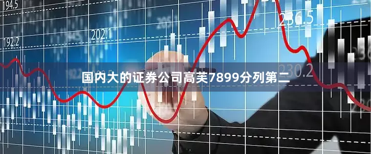 国内大的证券公司高芙7899分列第二